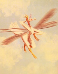 a white bird flying in the sky